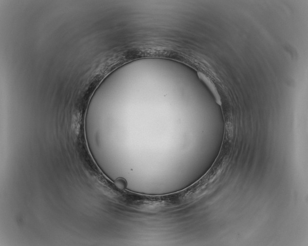 X0000112900458200909111528