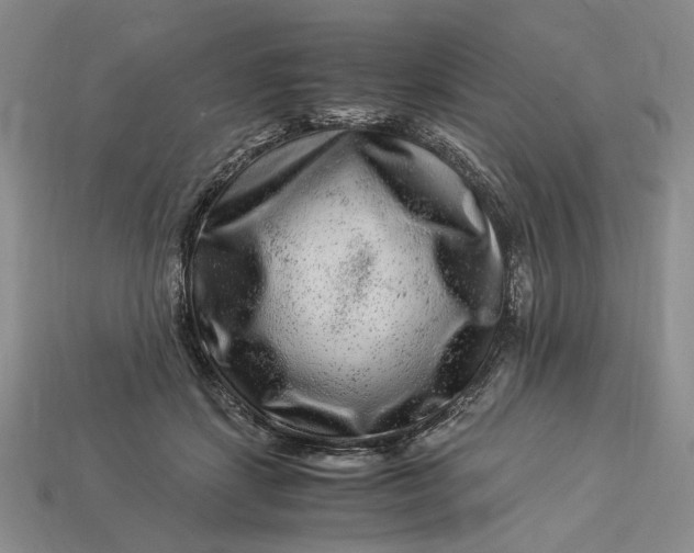 X0000112900459200909111528