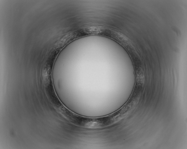 X0000112900460200909111528