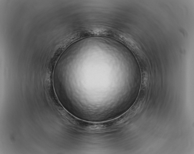 X0000112900461200909111528