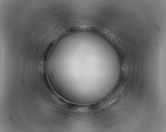 X0000112900462200909111528