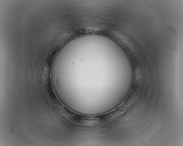 X0000112900463200909111528