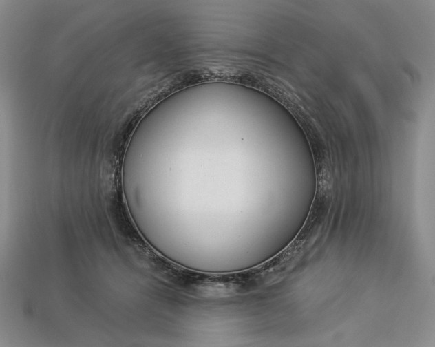 X0000112900464200909111528