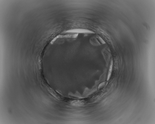 X0000112900465200909111528