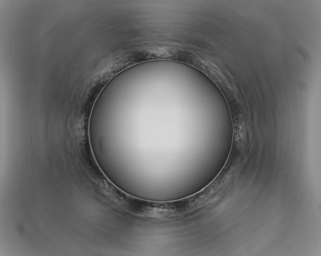 X0000112900466200909111528