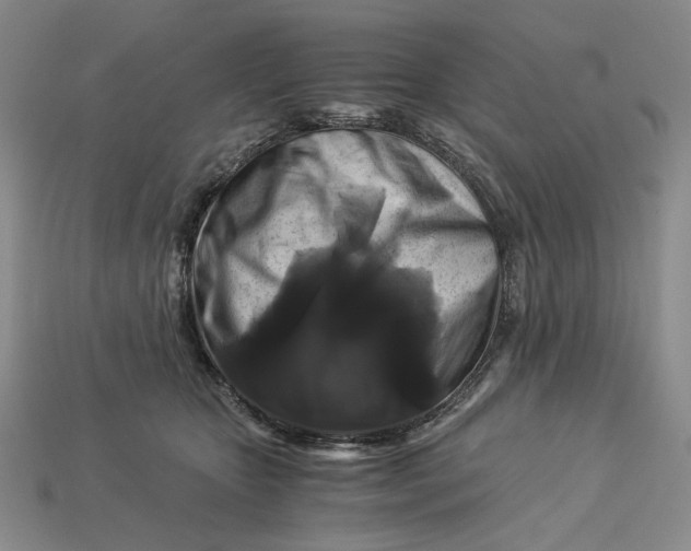 X0000112900467200909111528