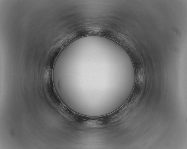 X0000112900468200909111528