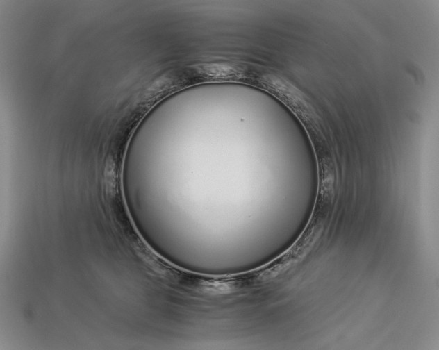 X0000112900469200909111528