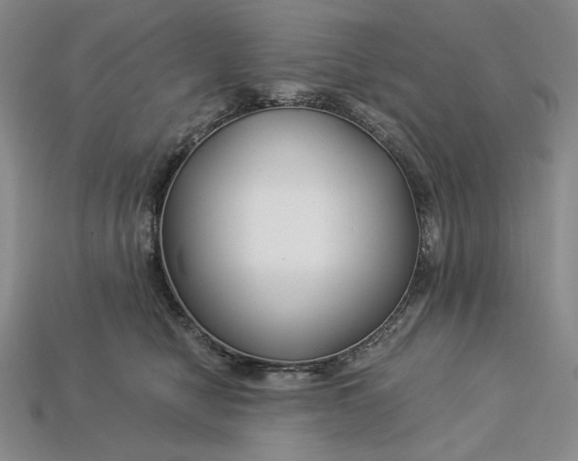 X0000112900470200909111528