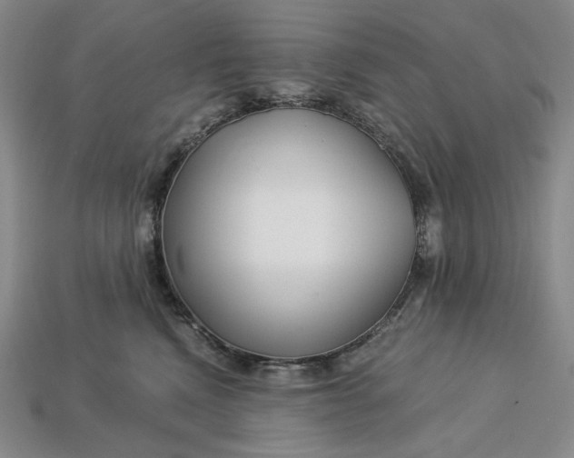 X0000112900472200909111529