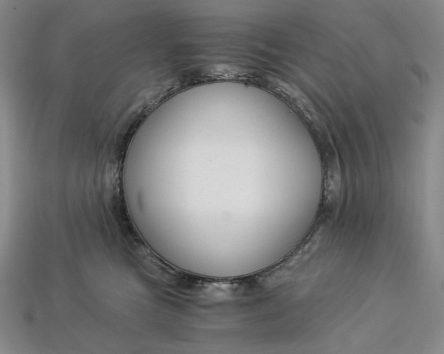 X0000112900473200909111529
