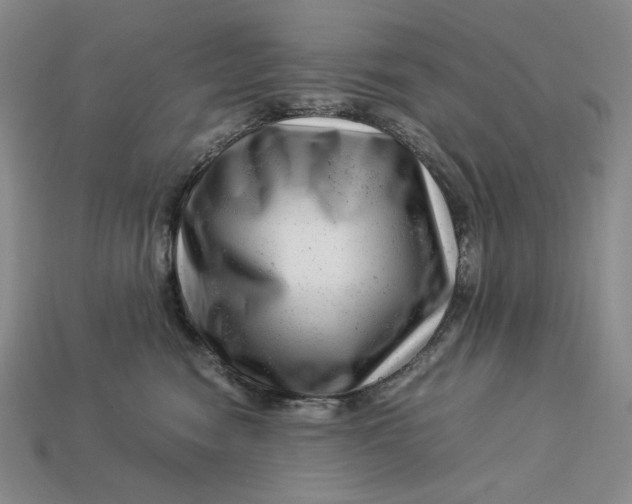 X0000112900474200909111529