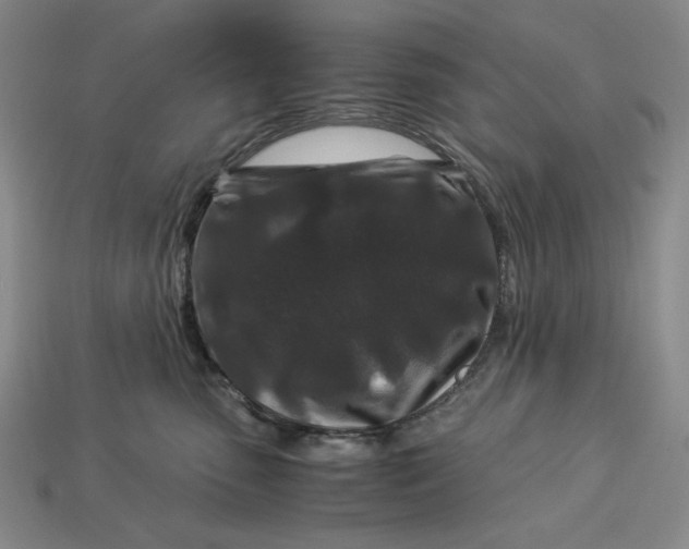 X0000112900475200909111529