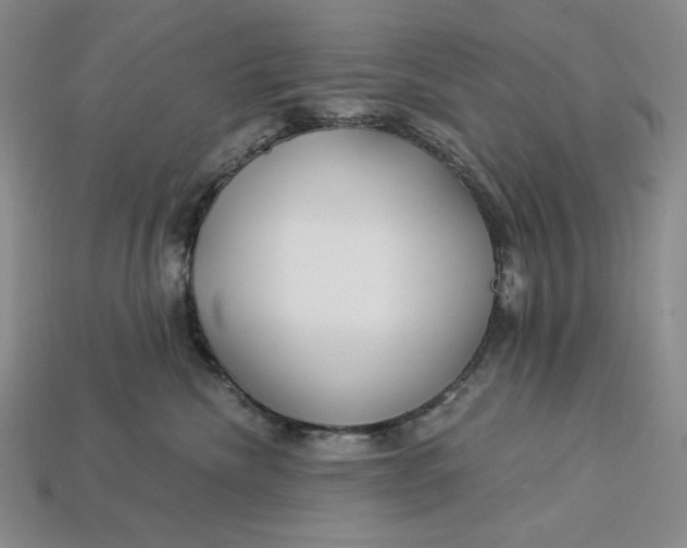X0000112900476200909111529