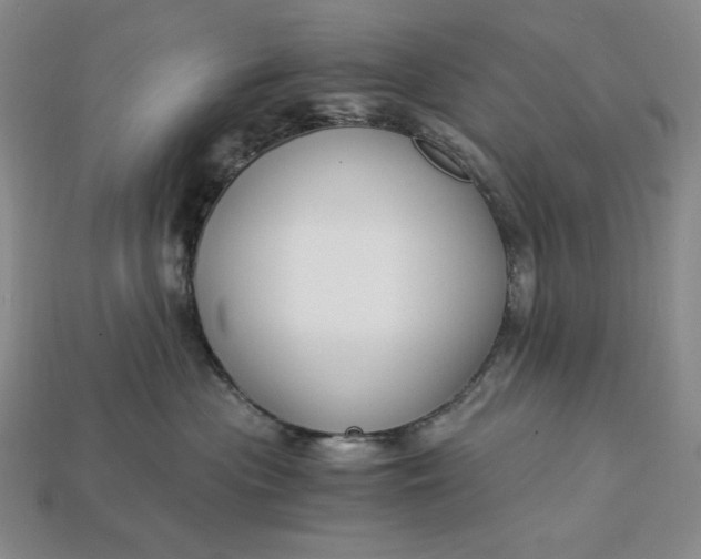 X0000112900477200909111529