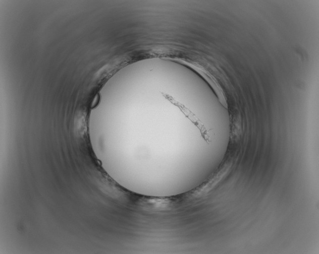 X0000112900478200909111529