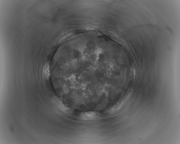 X0000112900479200909111529