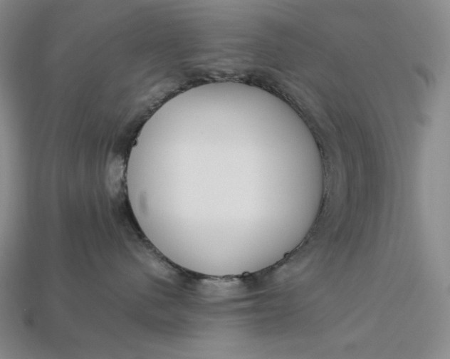 X0000112900480200909111529