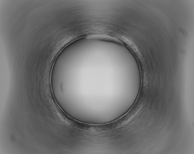 X0000112900481200909111528