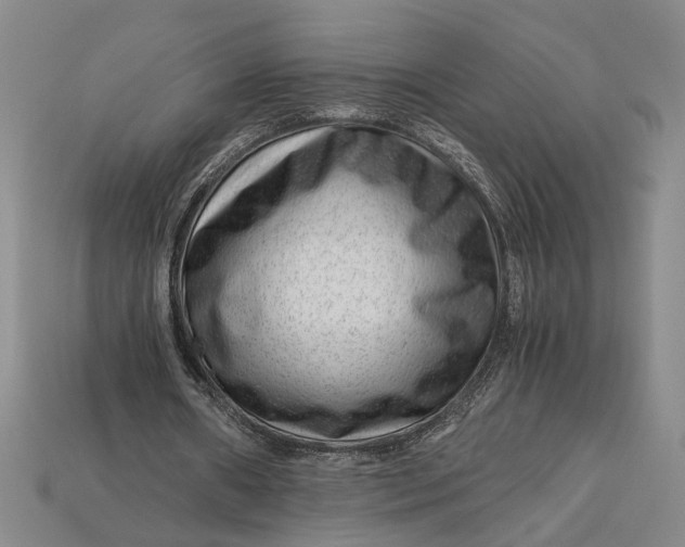 X0000112900482200909111528