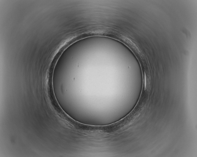 X0000112900483200909111528