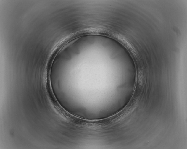 X0000112900486200909111528