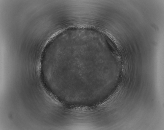 X0000112900488200909111528