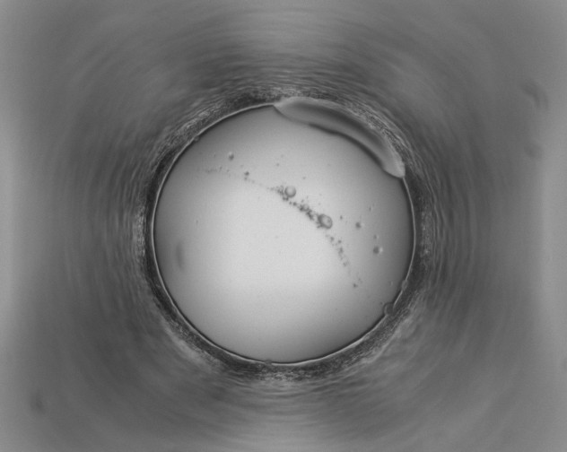 X0000112900489200909111528