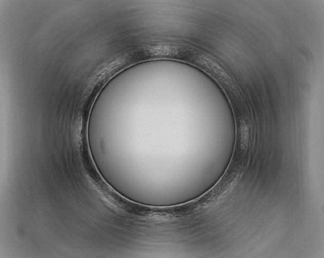 X0000112900490200909111528