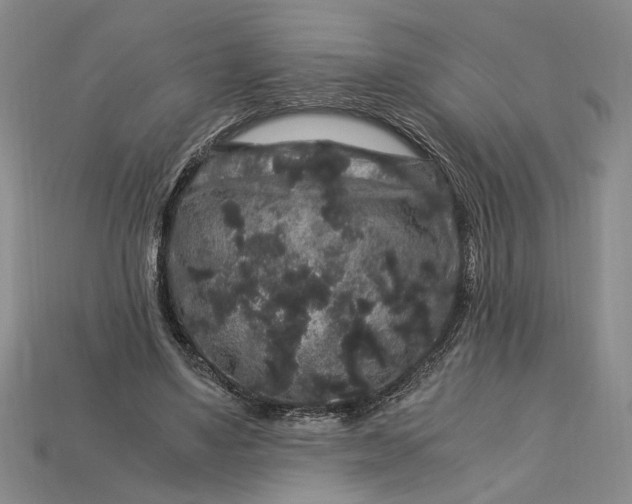 X0000112900491200909111528