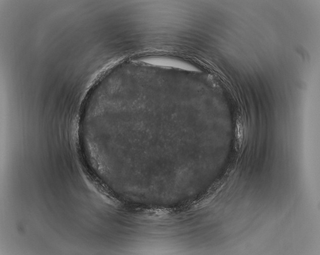 X0000112900492200909111528