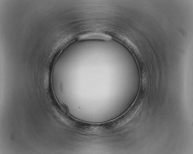 X0000112900493200909111528
