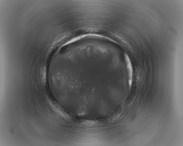 X0000112900494200909111528