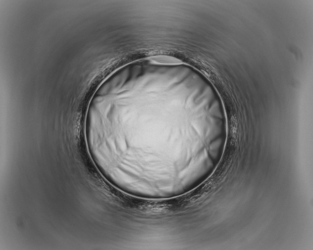 X0000112900495200909111528