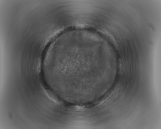 X0000112900496200909111528