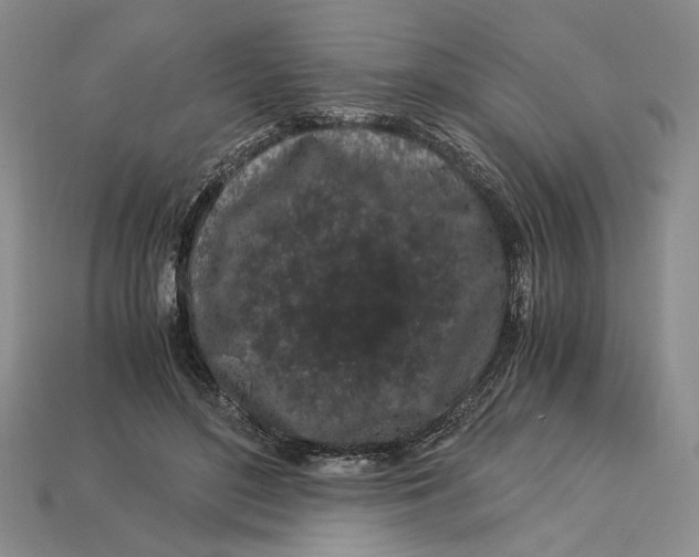 X0000112900500200909111528