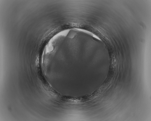 X0000112900502200909111528