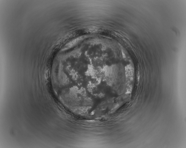 X0000112900503200909111528