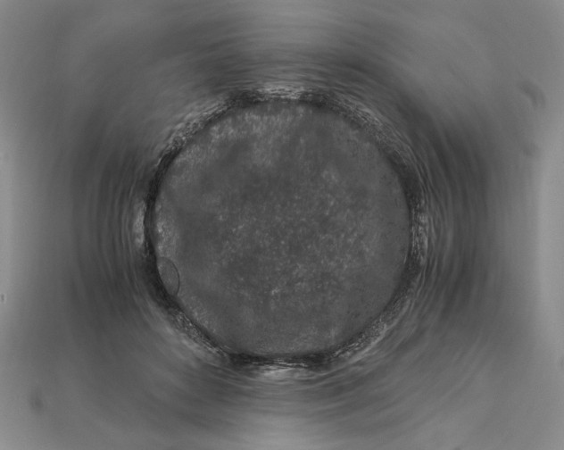 X0000112900504200909111528