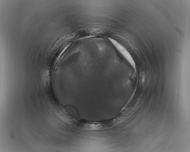 X0000112900506200909111528