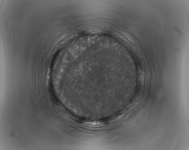 X0000112900507200909111528