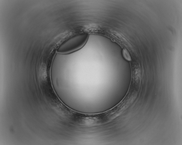 X0000112900508200909111527
