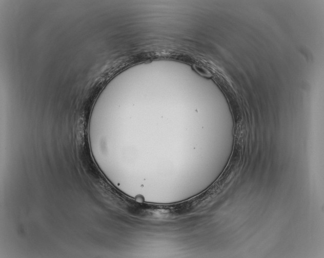 X0000112900509200909111527