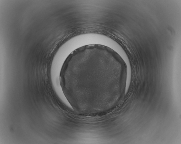 X0000112900512200909111527