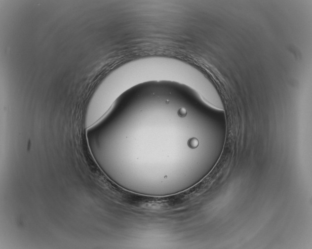 X0000112900513200909111527