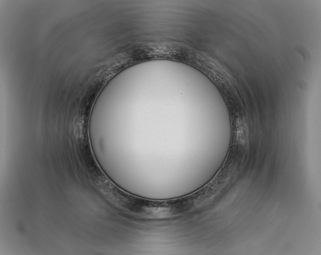 X0000112900514200909111527