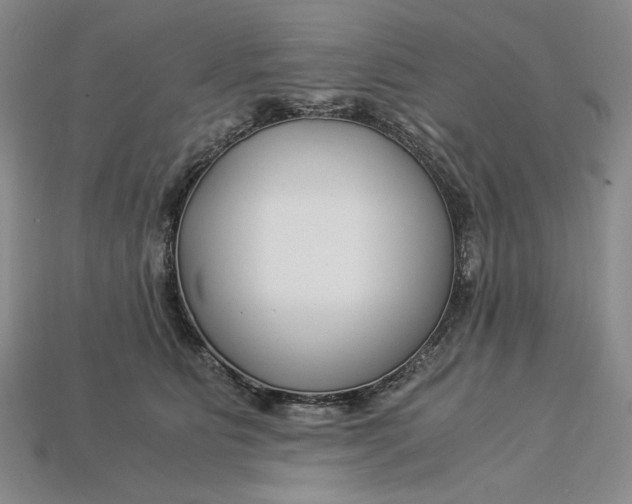 X0000112900515200909111527