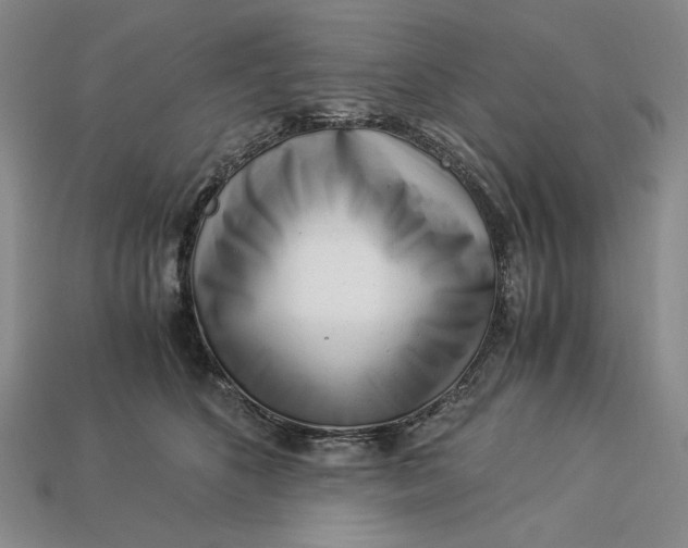 X0000112900516200909111527