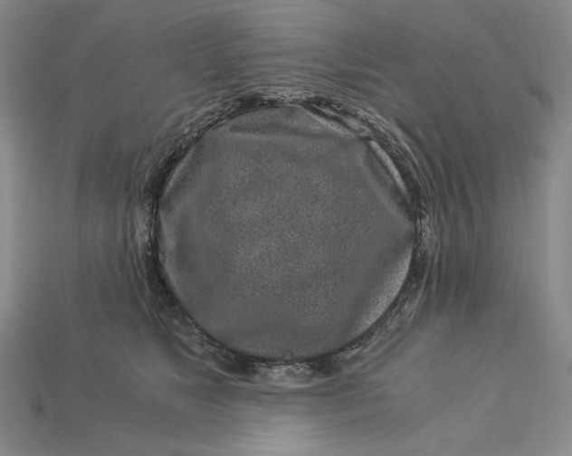 X0000112900517200909111527