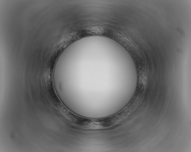 X0000112900518200909111527